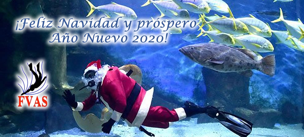 Feliz Navidad y Próspero Año Nuevo 2020 – FVAS